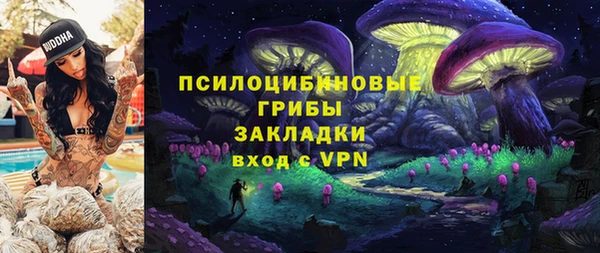 мяу мяу мука Магадан