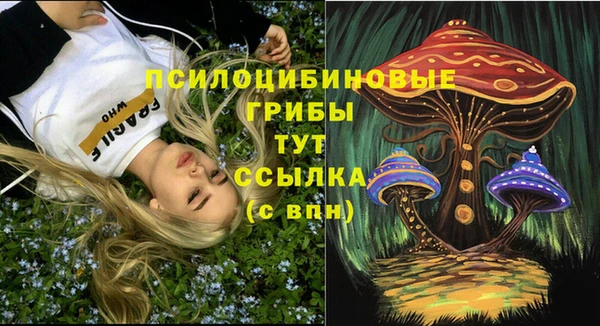 мяу мяу мука Магадан