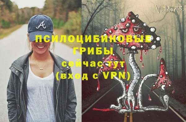 индика Лихославль